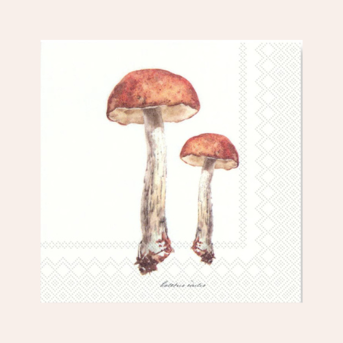 Manor Road Porcini Cocktail Napkin